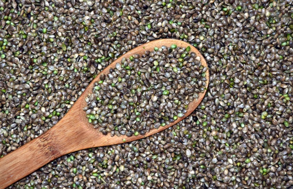 Breaking Down Hemp Seed Oil – With 5 Health and Nutrition Experts